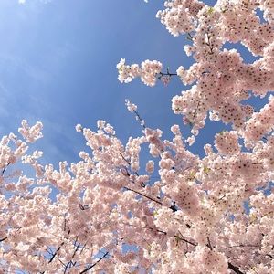 Meet your Posher, Vickie